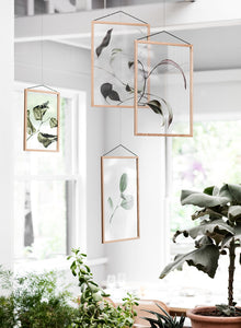 Transparent Prints