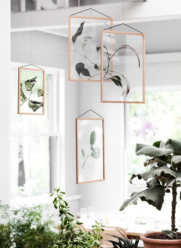 Transparent Prints