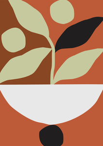 Maceta