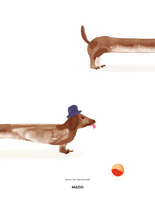 Doug the Dachshund