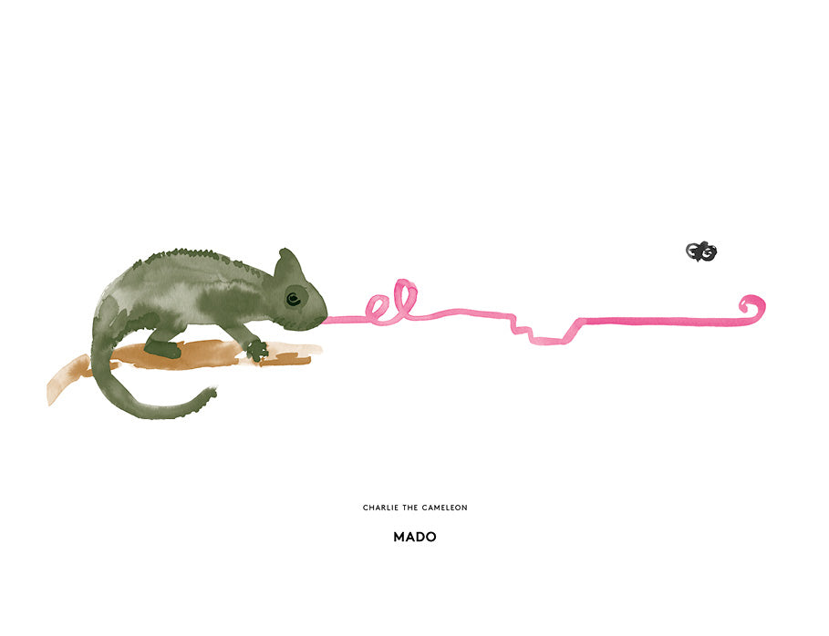 Charlie the Cameleon