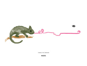 Charlie the Cameleon