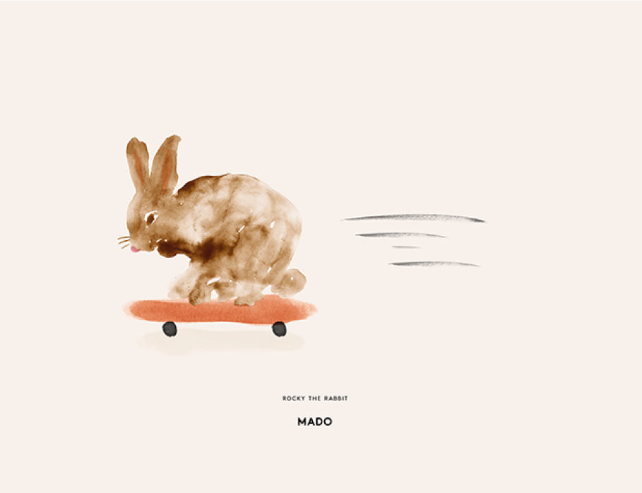 Rocky the Rabbit